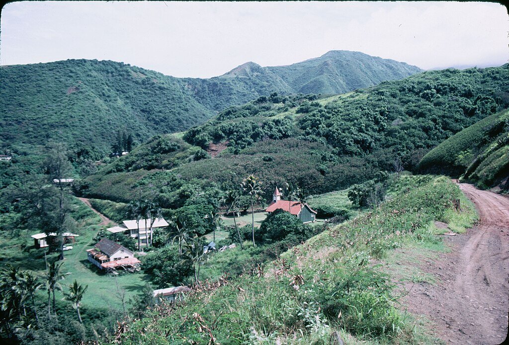Hawaii Ecosystem