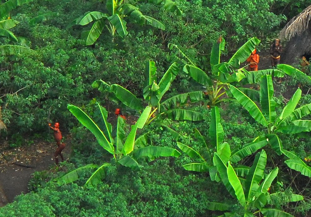 Indigenous tribe in the Amazon rainforest