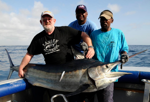 Black Marlin, marine discovery