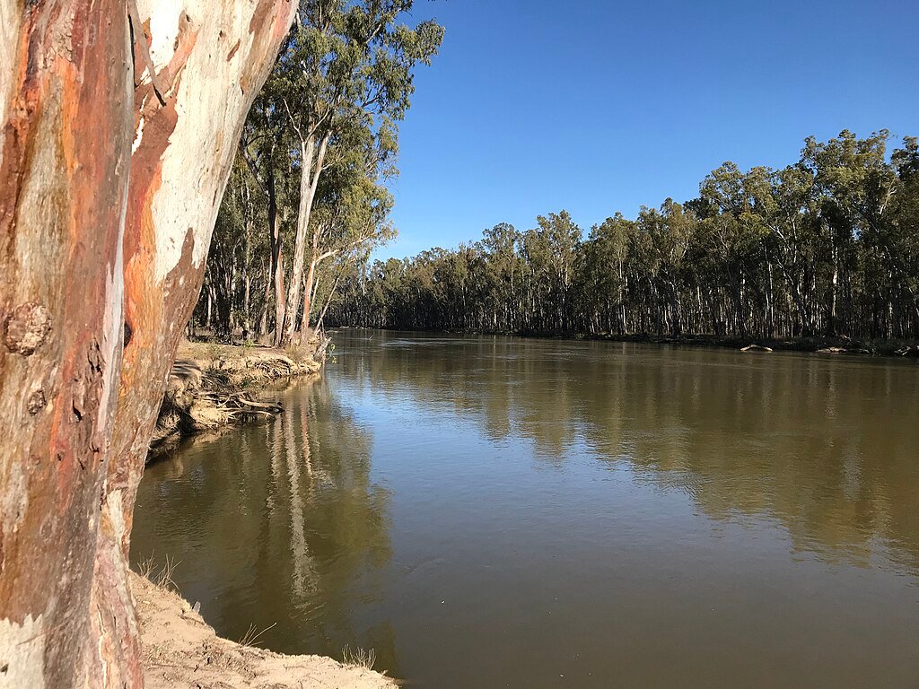 Australia water shortage, Murray–Darling basin