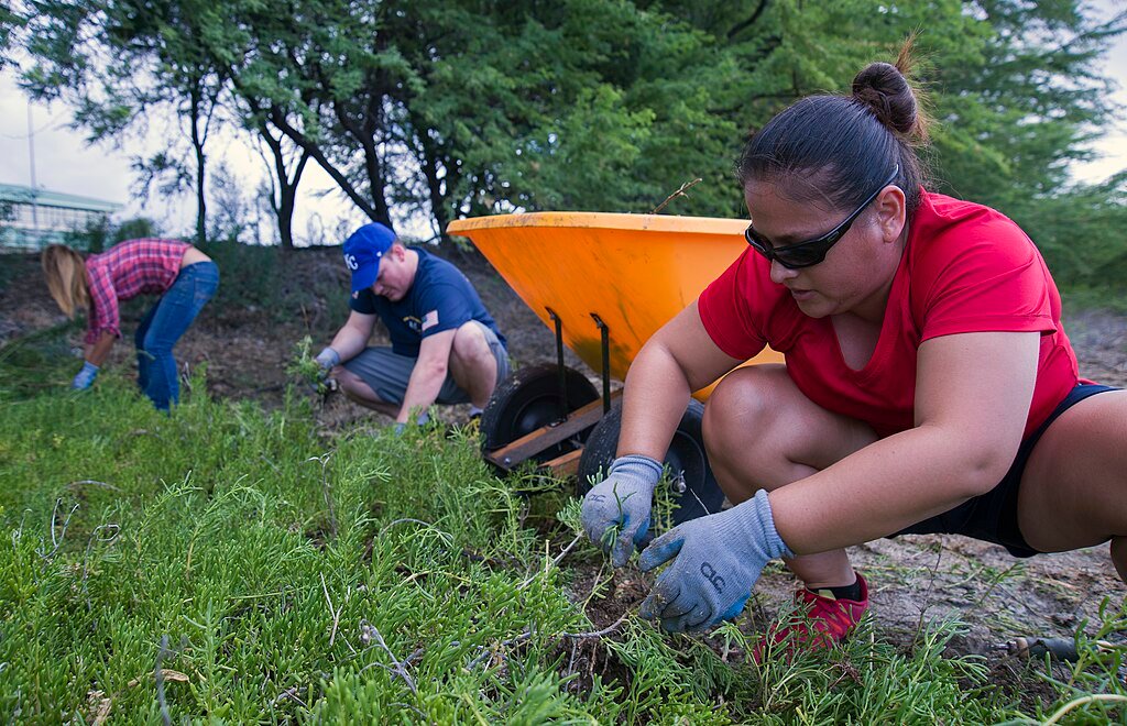 Hawaii ecosystem, invasive species