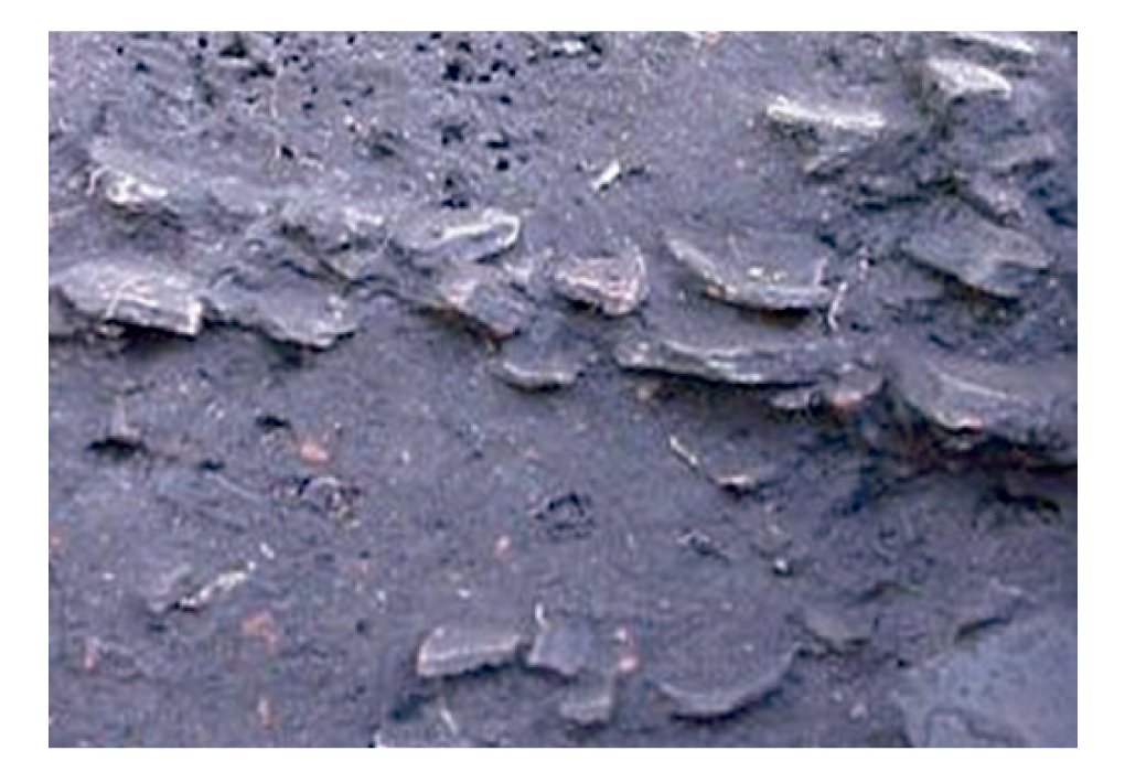 Terra Preta Amazon rainforest soil
