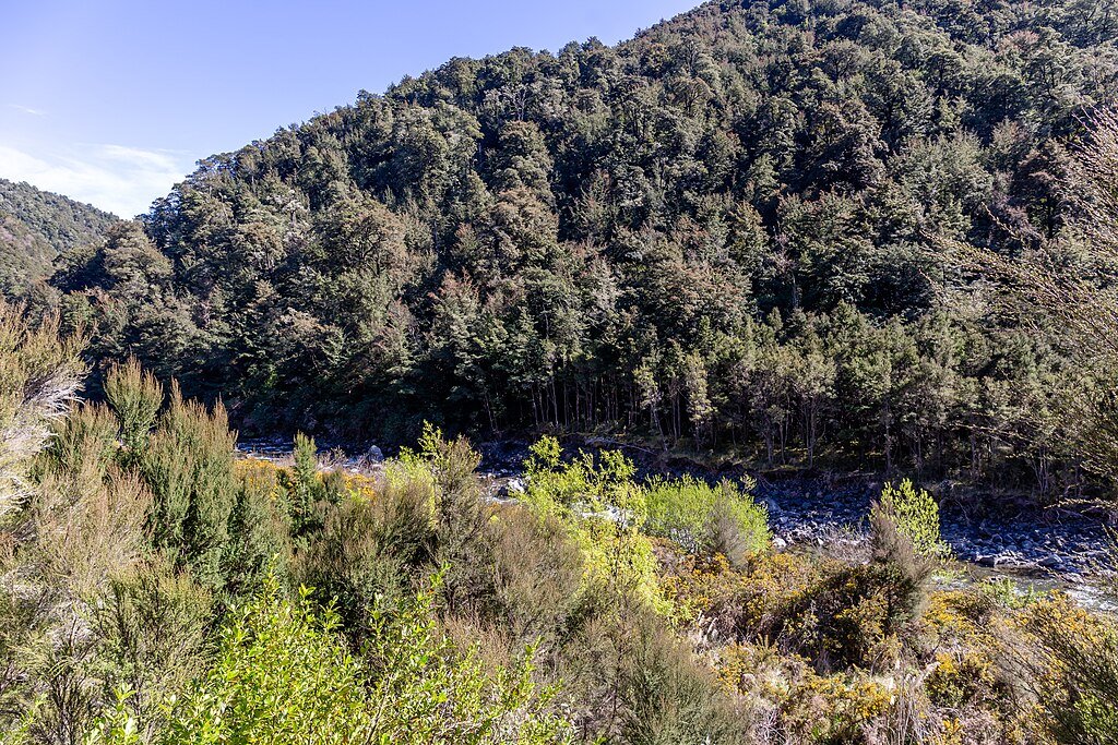 New Zealand