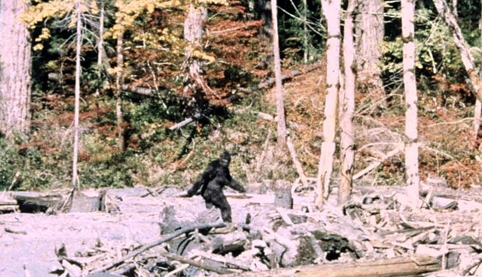 Legend of Sasquatch, Canada's wilderness