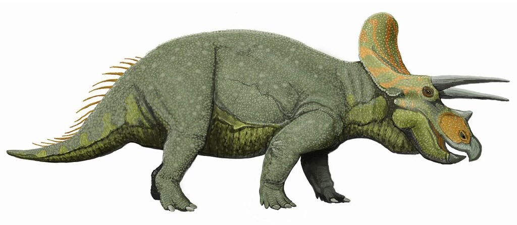 Triceratops horridus