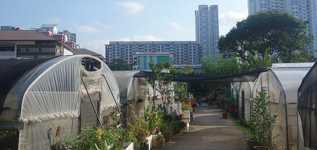 Singapore Green City