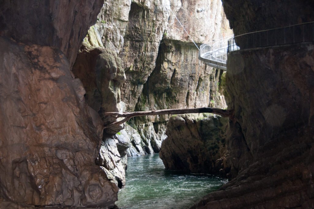 Coming out into a sinkhole in a tour of Škocjan Caves.