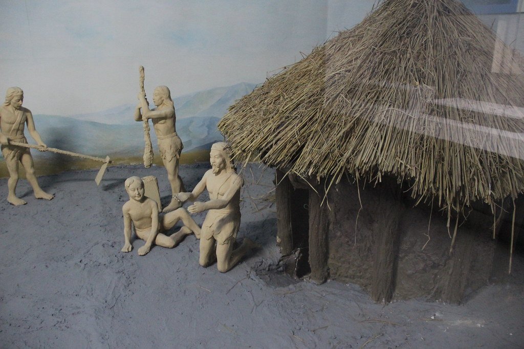 Gary Todd Gary Lee Todd, Ph.D. Follow Neolithic People Diorama Neolithic Gallery, Sanmenxia City Museum, Henan, China.