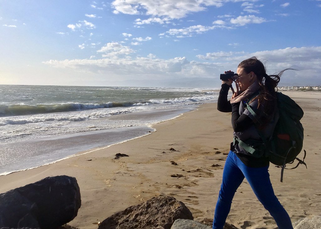 Karen Sinclair, a fish and wildlife biologist with the U.S. Fish and Wildlife Service in Ventura braces against the wind while looking for brown pelicans during the biannual brown pelican survey held along the West Coast.