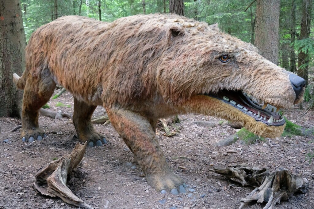 A model of a Andrewsarchus.