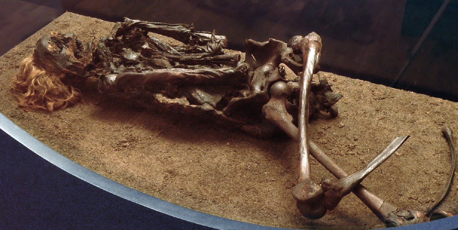 Bog body Neu Versen Man, also known as Red Franz at Niedersächsisches Landesmuseum Hannover, Germany.