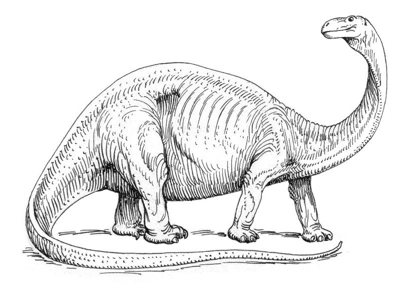 The Myth of Mokele-Mbembe