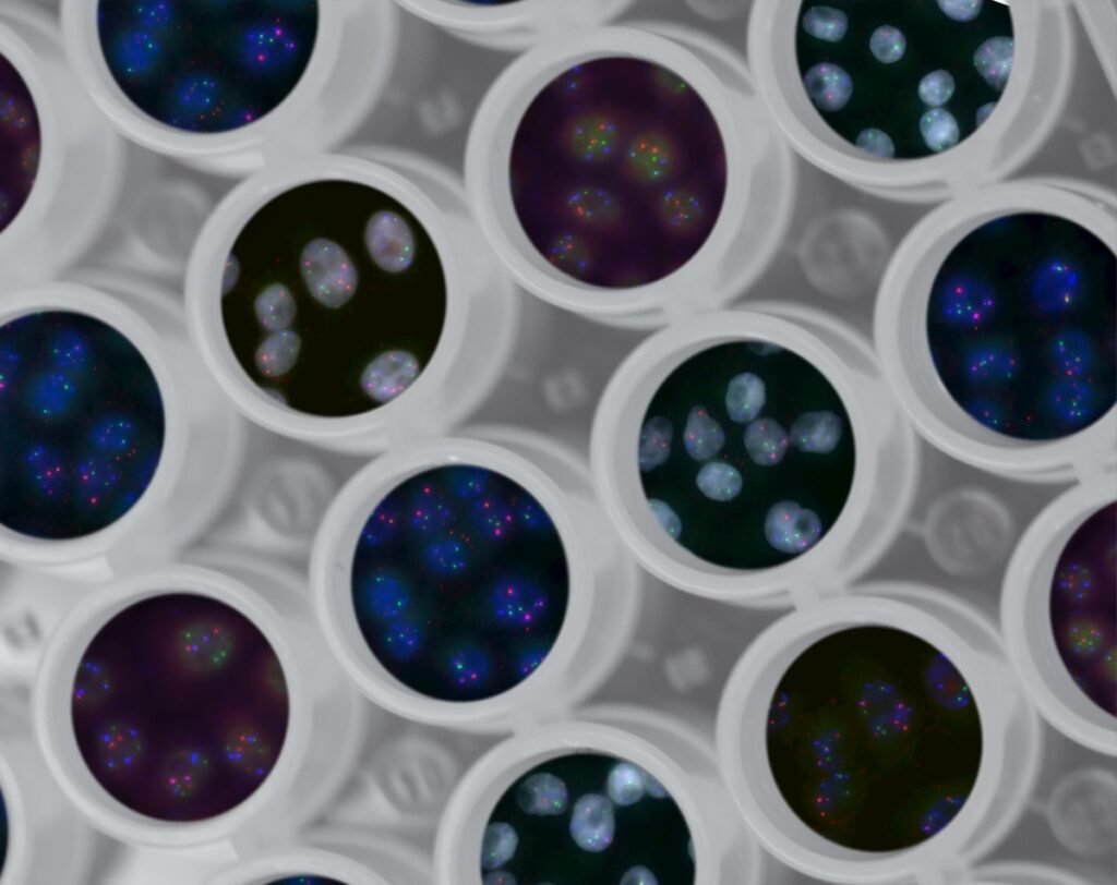 Three-dimensional landscape of genome.