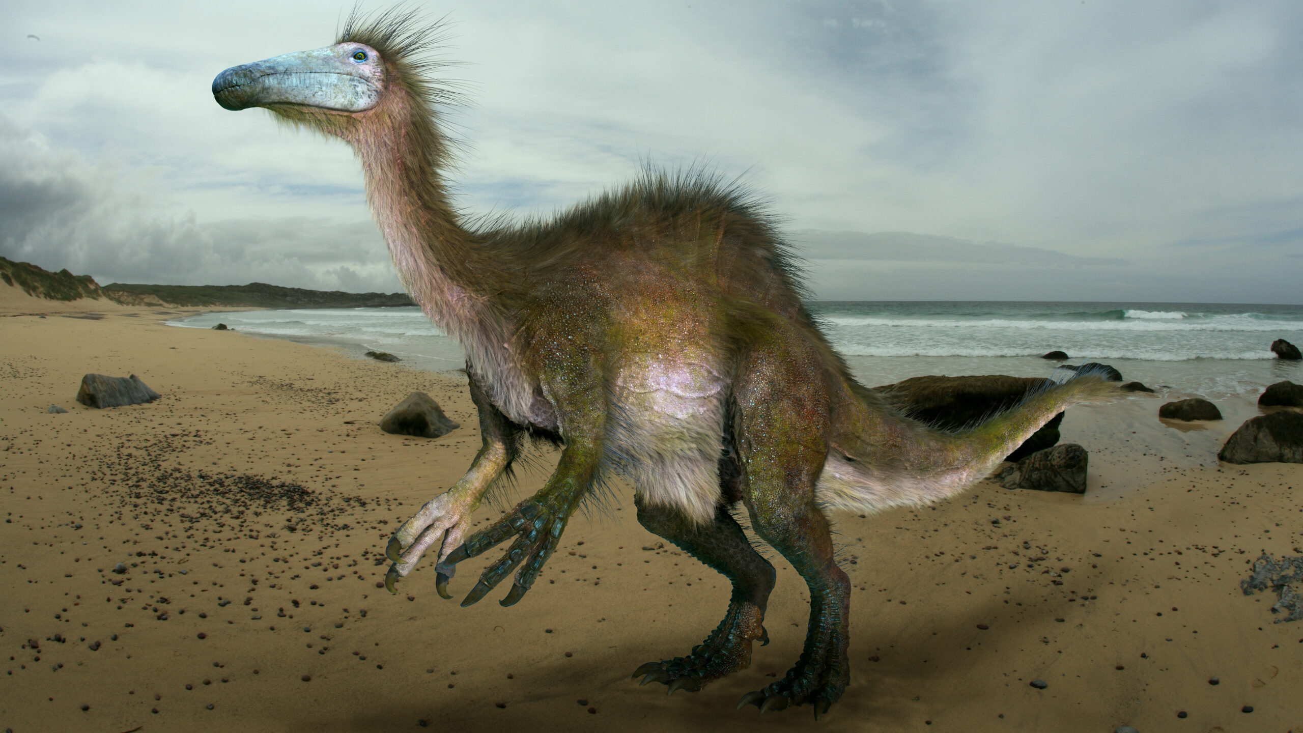 10 Feathered Dinosaurs That Prove Some ‘Terrible Lizards’ Were More Like Birds