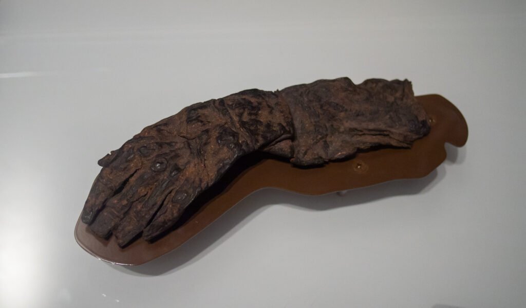 Bog body hand, Drents Museum 8951.