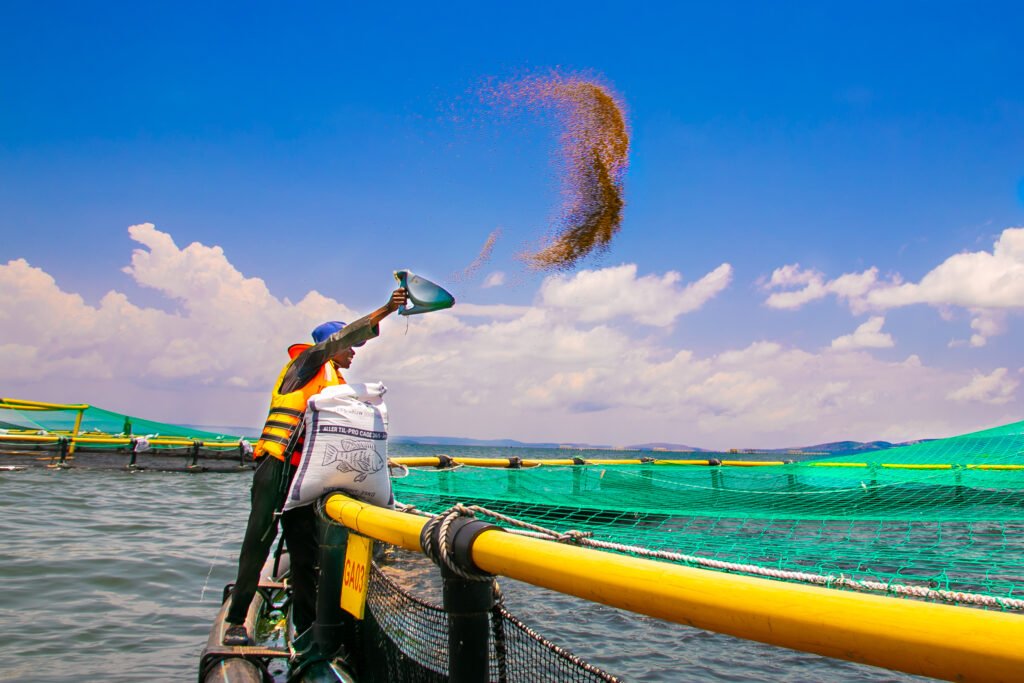 Sustainable fishing