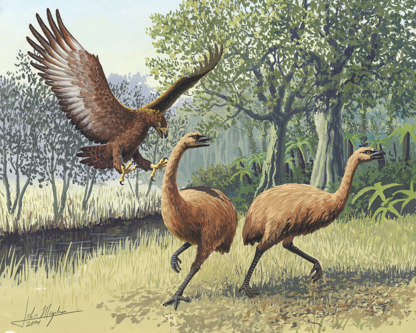New Zealand’s Forgotten Giants: The Moa and Haast’s Eagle