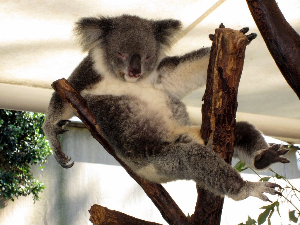 Australia ecotourism