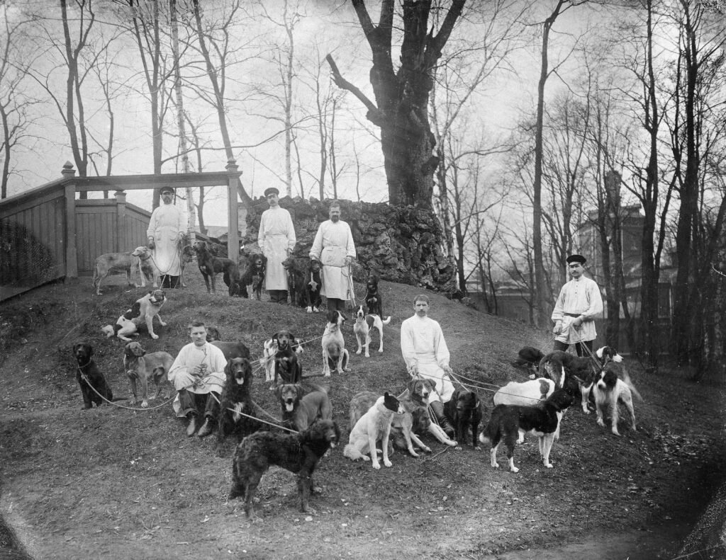 Dogs with their keepers at the Physiology Department, Imperial Institute of Experimental Medicine, St Petersburg.