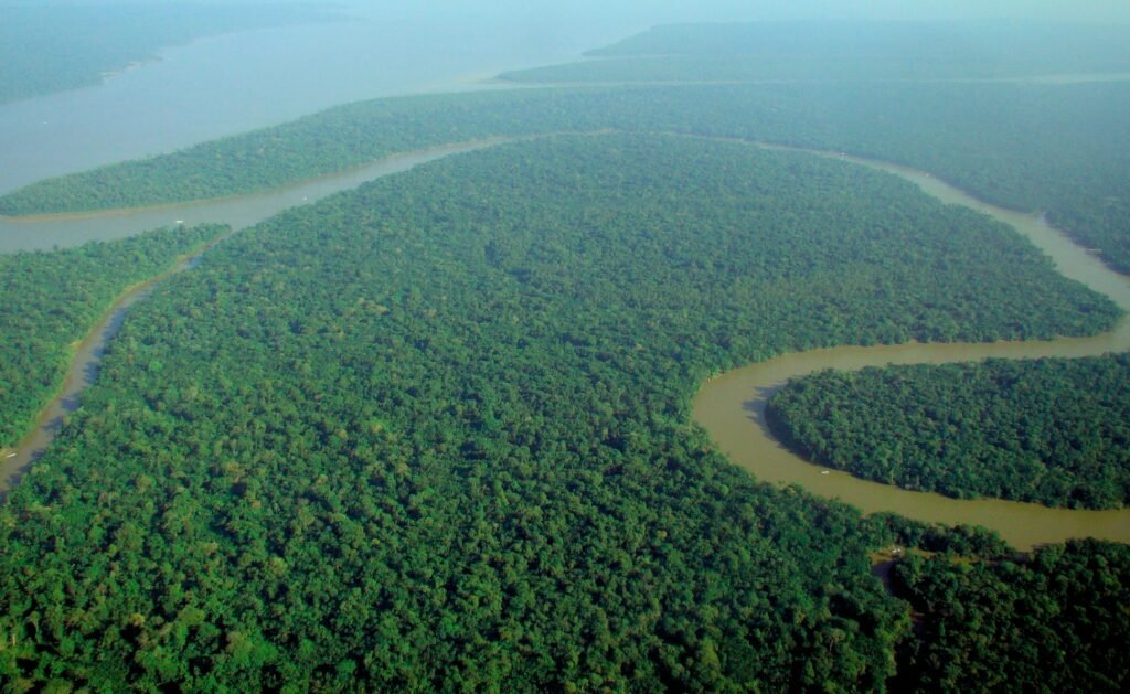 Amazon rainforest