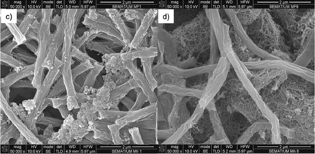 SEM of hydrogenotrophic methanogenic culture Methanospirillum hungatei.