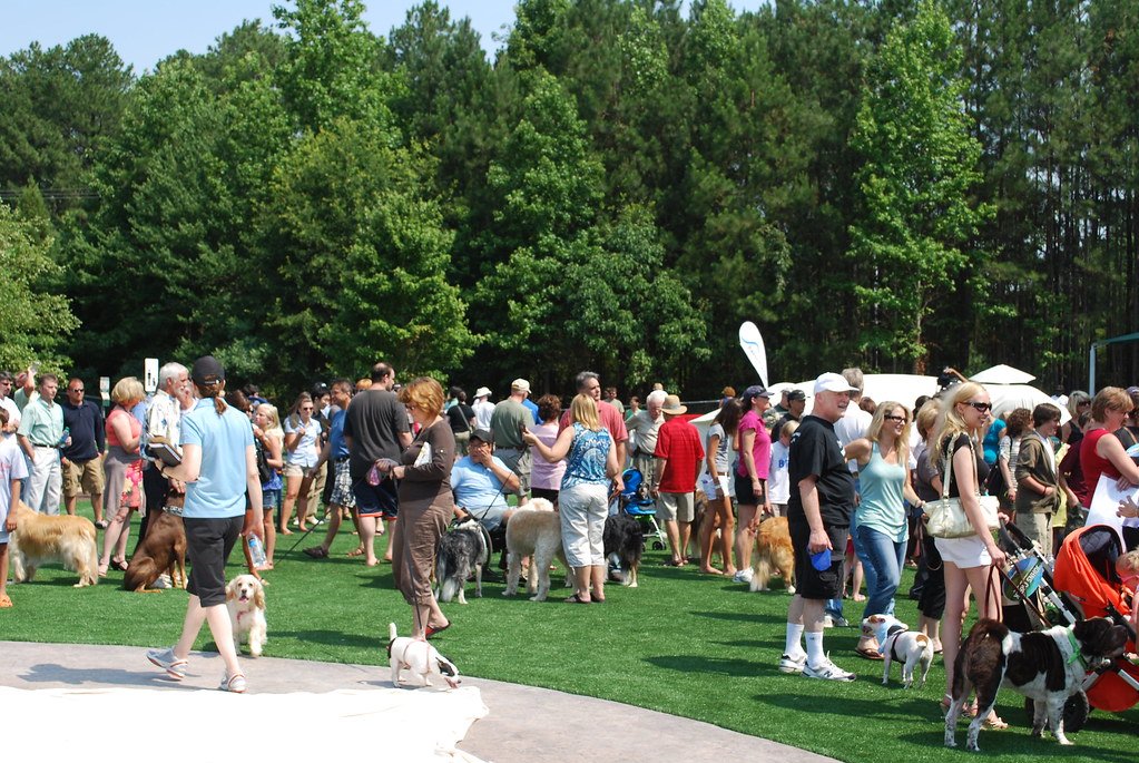 Animal Therapy, dog park, service dogs