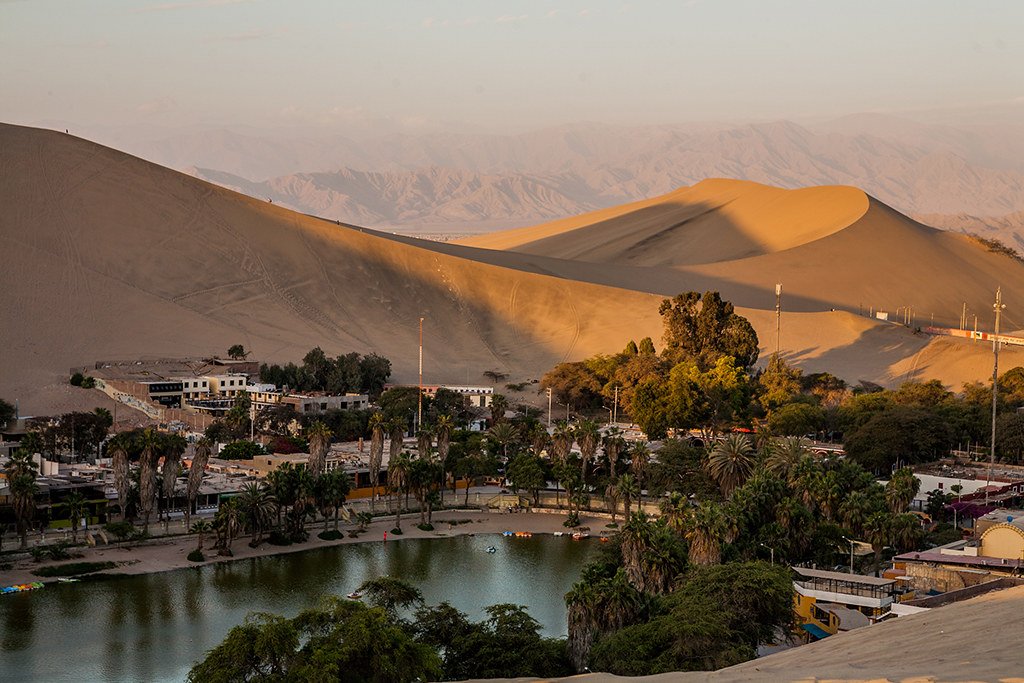 Desert oasis, ecosystem