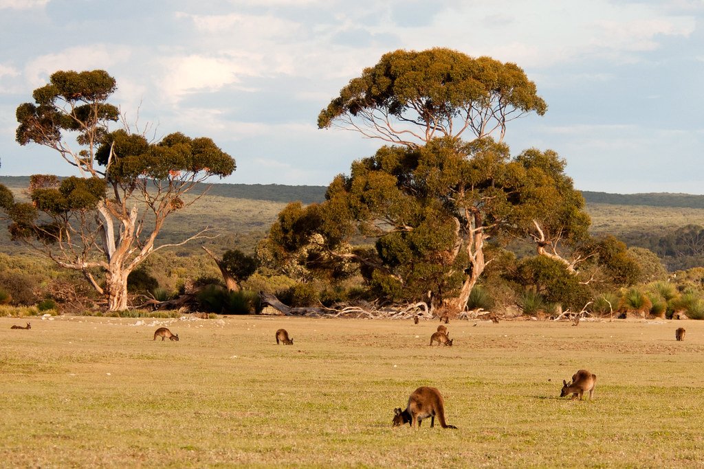 Australia ecotourism
