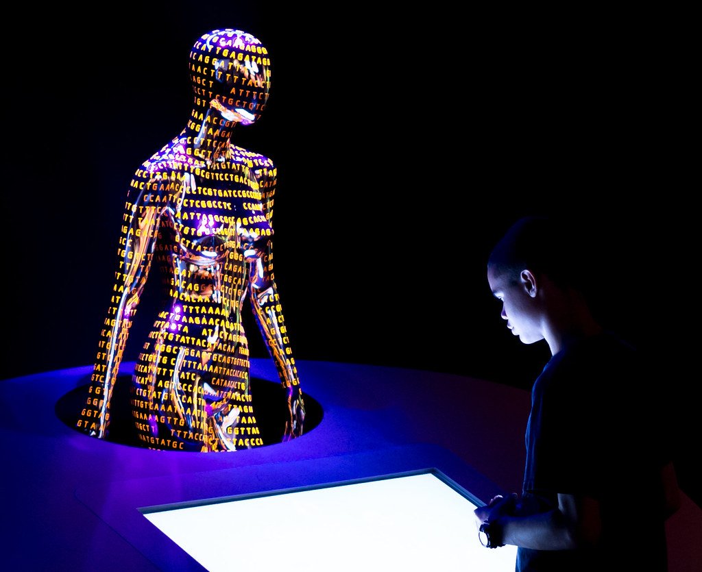 The Human Genome exhibit at the National Museum of Natural History.