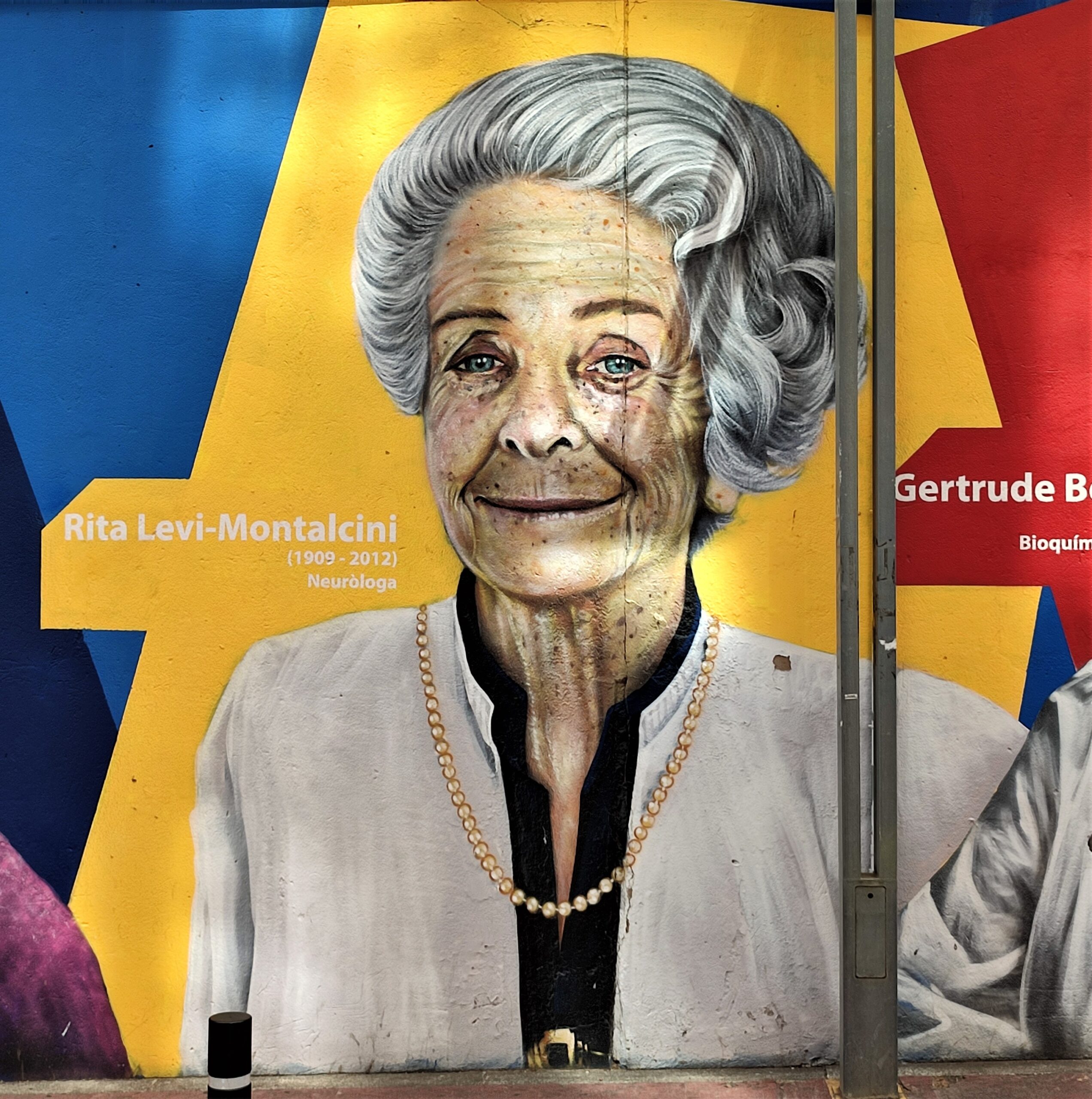 The Pioneering Work of Dr. Rita Levi-Montalcini in Neurobiology and Brain Research