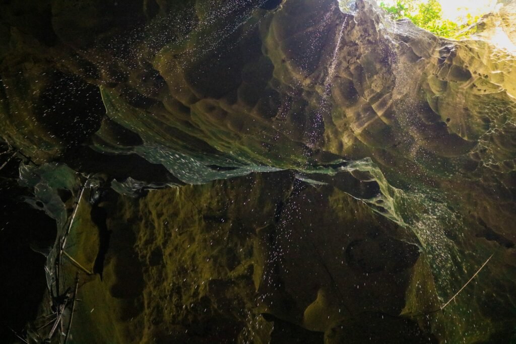 The interior of the Gua Niah cave.
