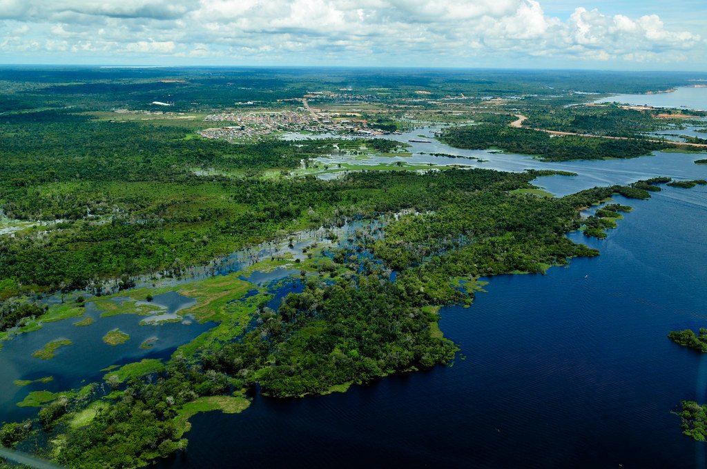 Amazon rainforest