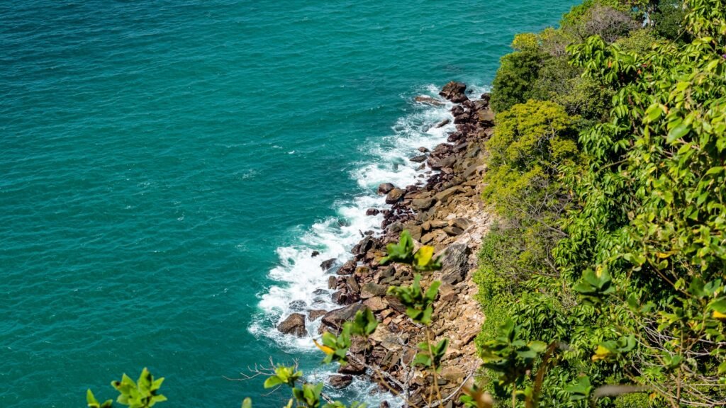 Green grass on rocky shore during daytime.