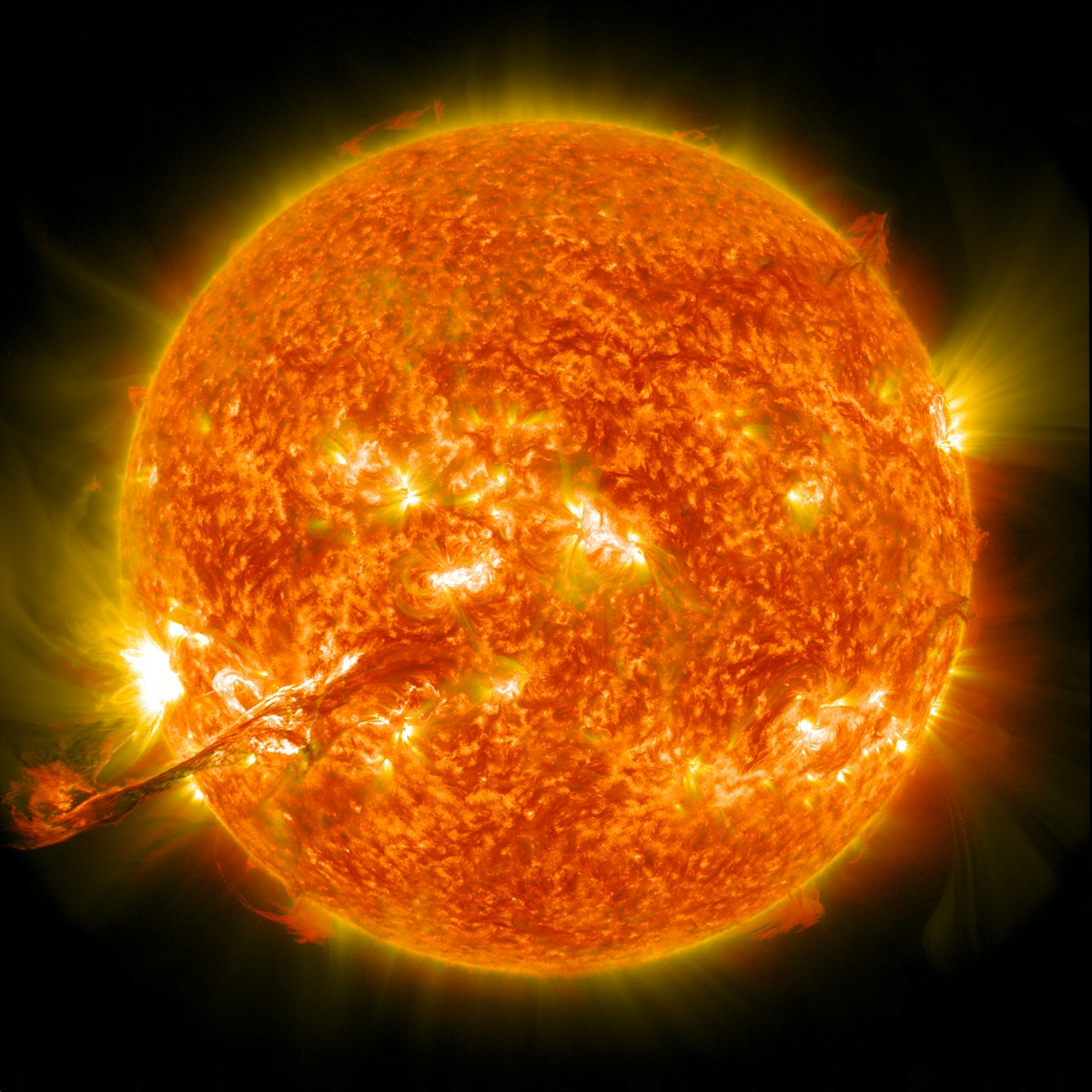 The Effect of Space Weather on Earth’s Wildlife: How Solar Flares and Cosmic Rays Impact Animals
