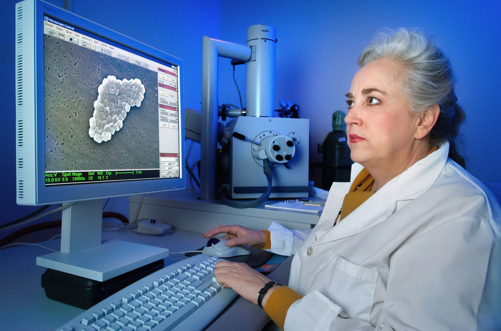 How to Become a Microbiologist: Exploring the World of Microbes and Their Impact on Health