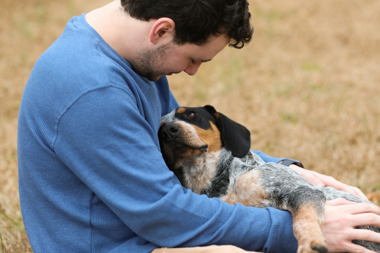The Most Hilarious Dog Behaviors and What They Really Mean