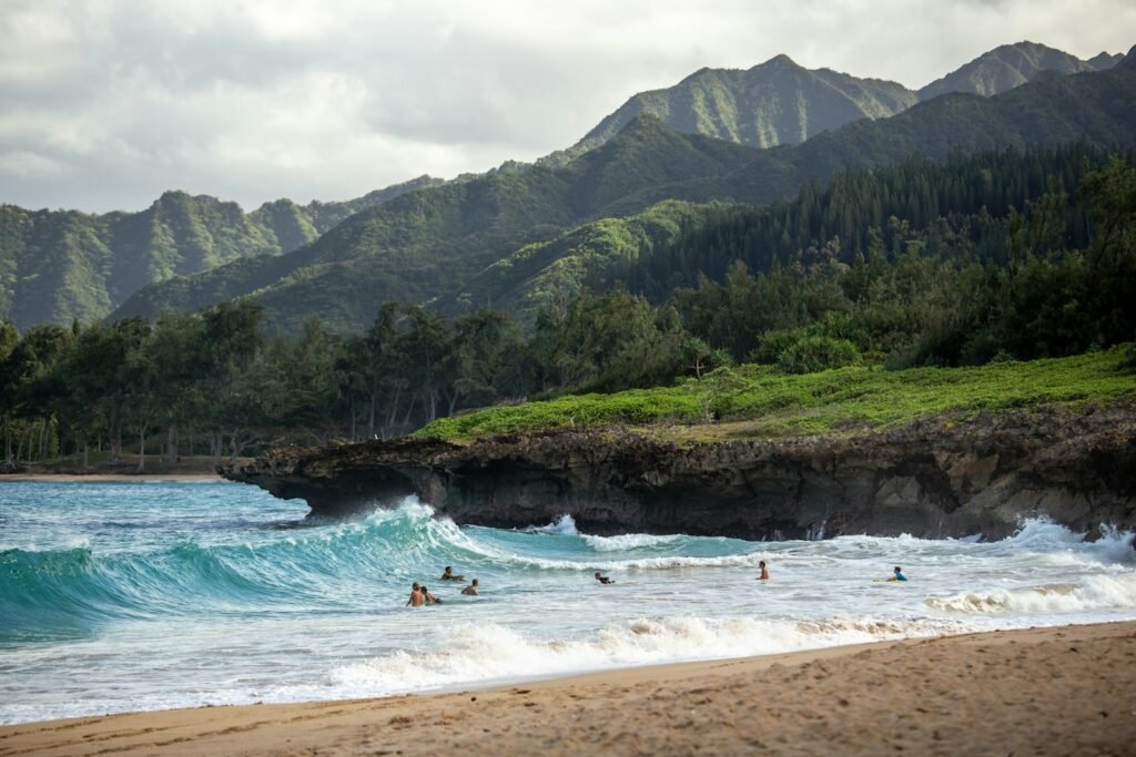 Hawaii ecosystem, conservation