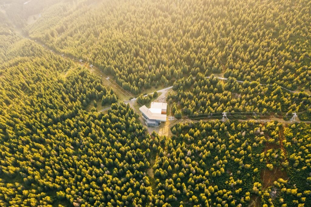 Aerial photography of a forest filled with trees.