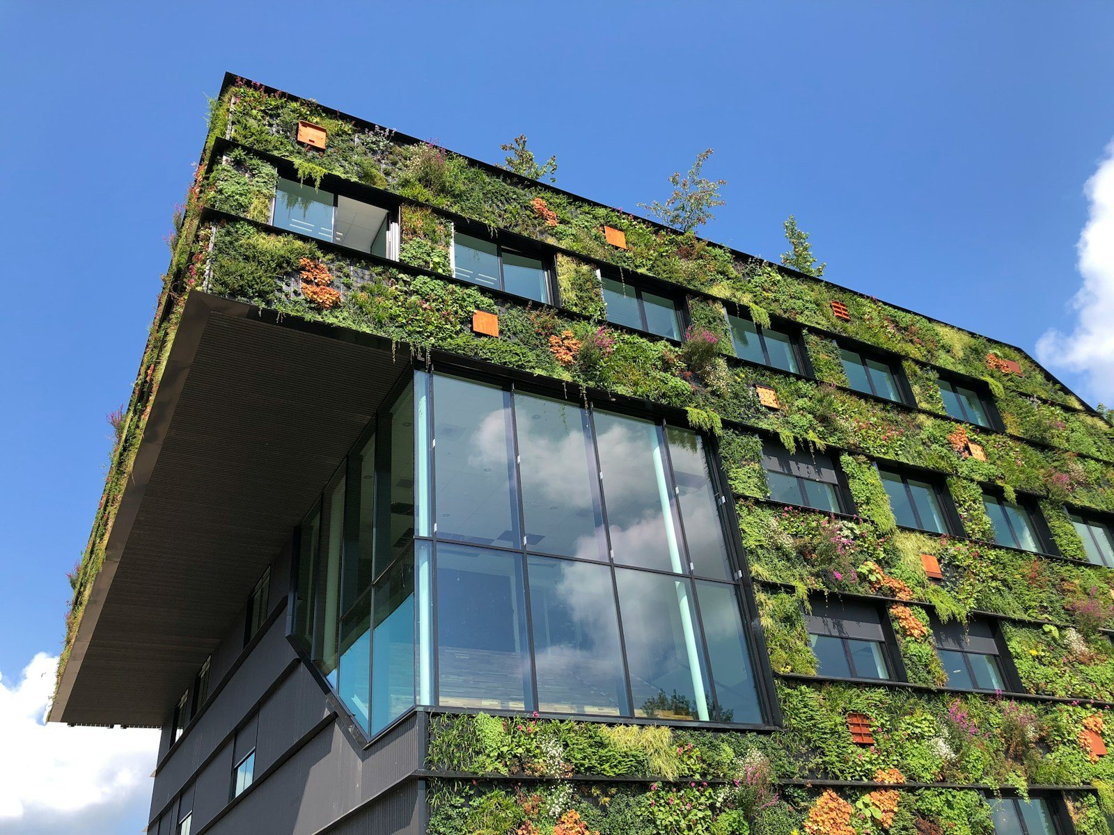 Reimagining Our Planet: 10 Ways a Zero-Emission World Would Transform Life