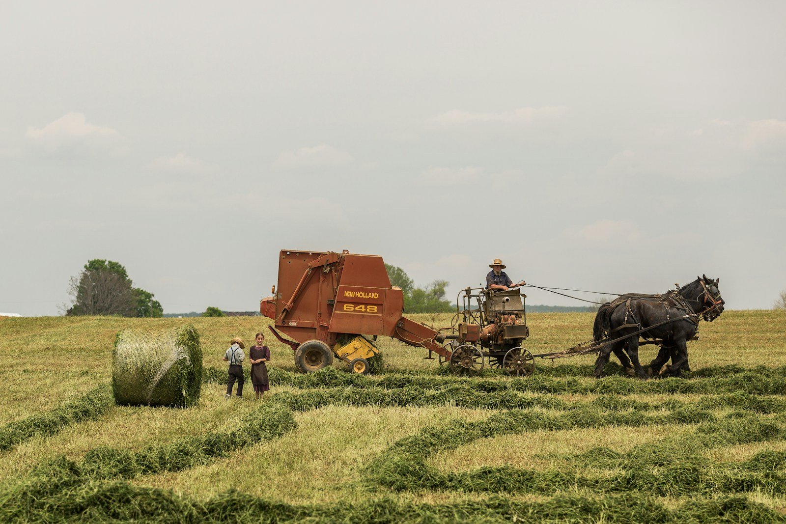 The Future of Sustainable Farming How We Can Protect the Planet