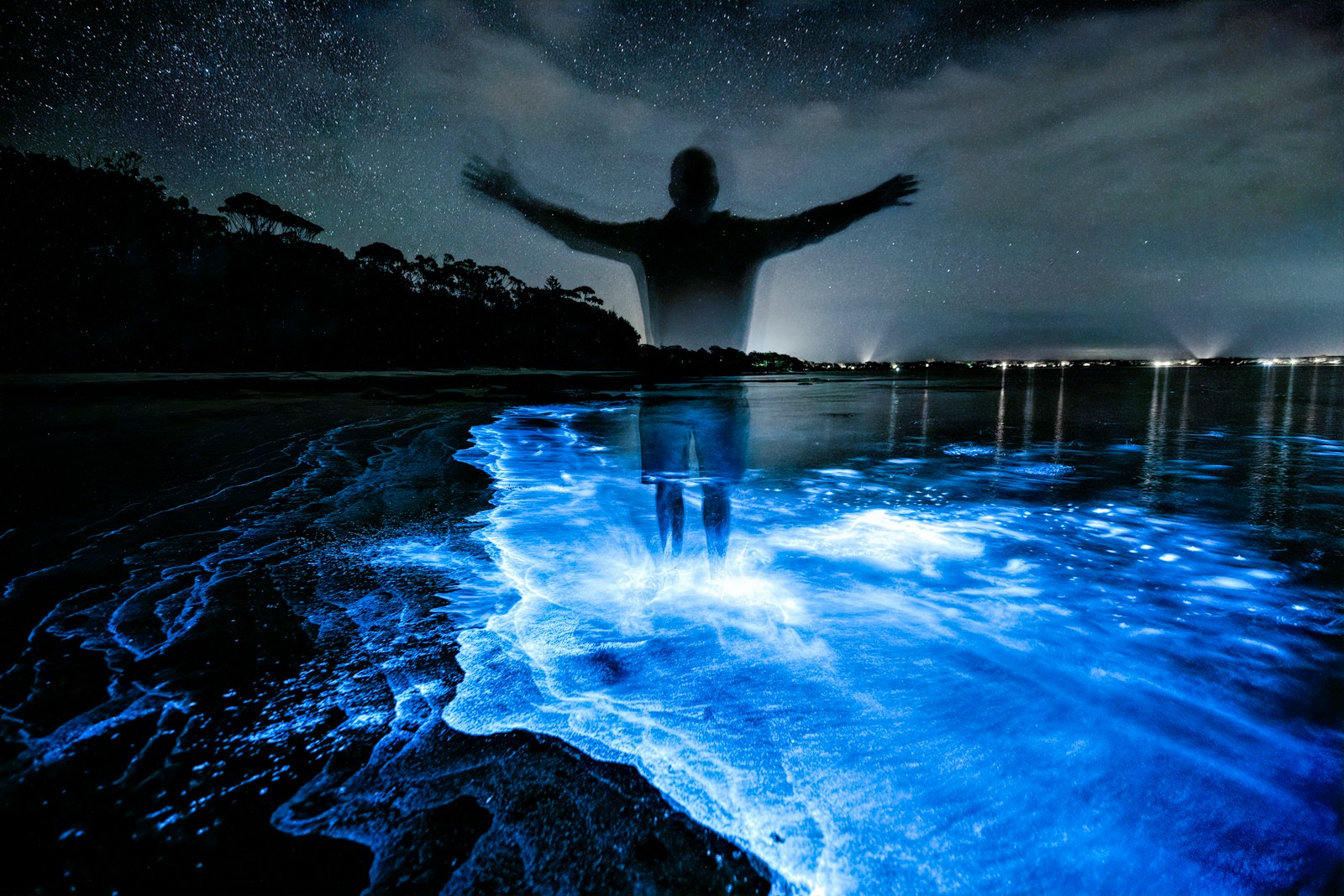 The Hidden World of Bioluminescent Creatures: Nature’s Glow-in-the-Dark Wonders