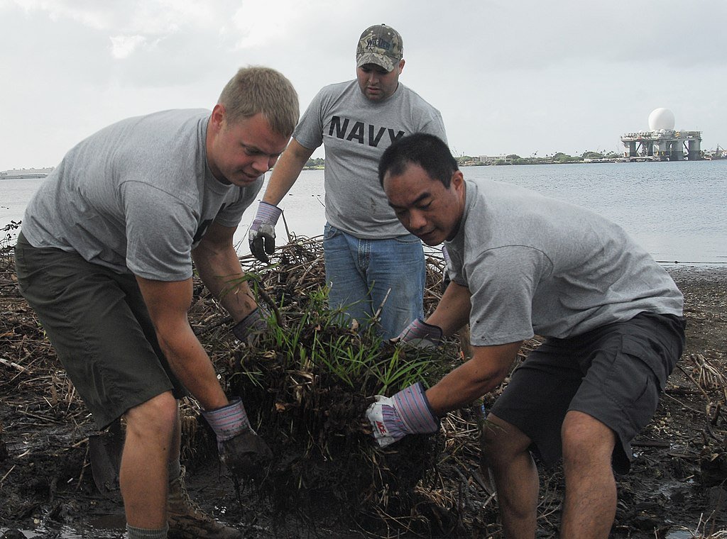 Hawaii ecosystem, invasive and non invasive species