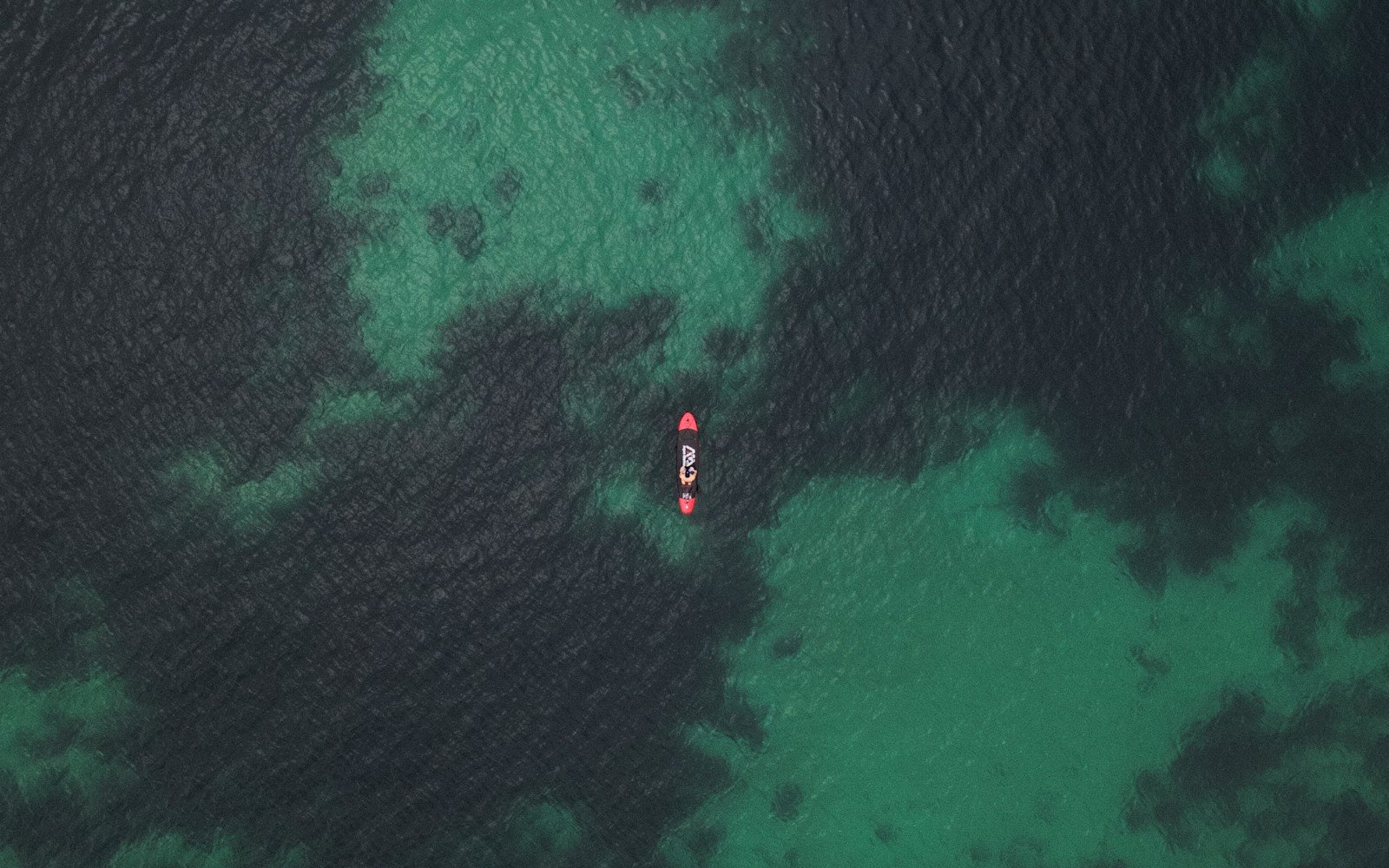 The Potential of Bioremediation: How Microbes Can Help Clean Up Oil Spills and Other Pollution