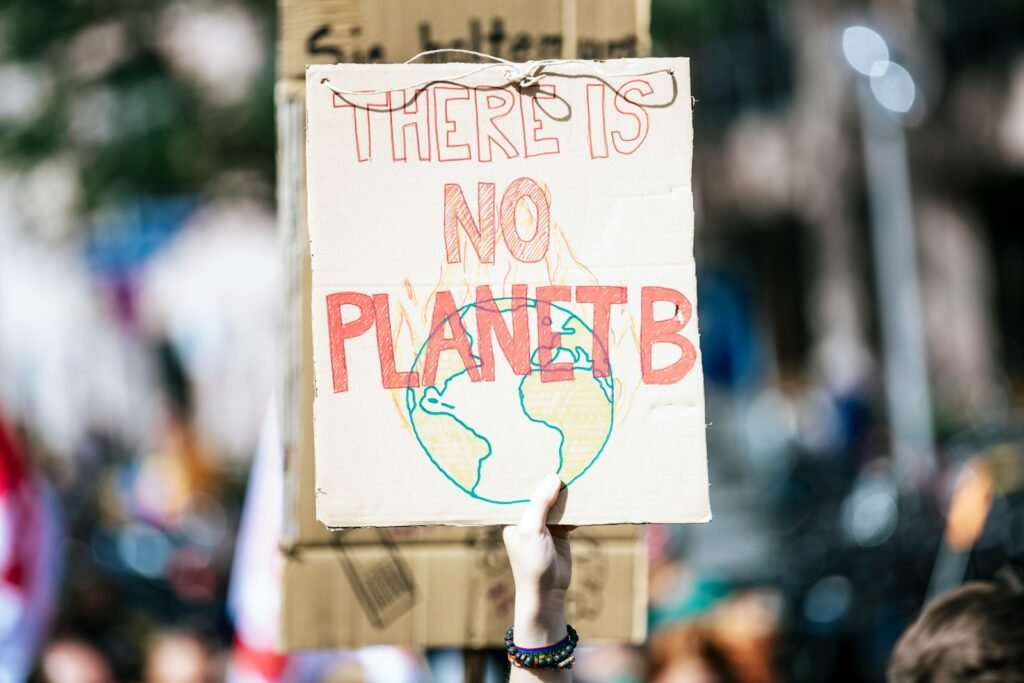 Protest sign that says there is no planet b.