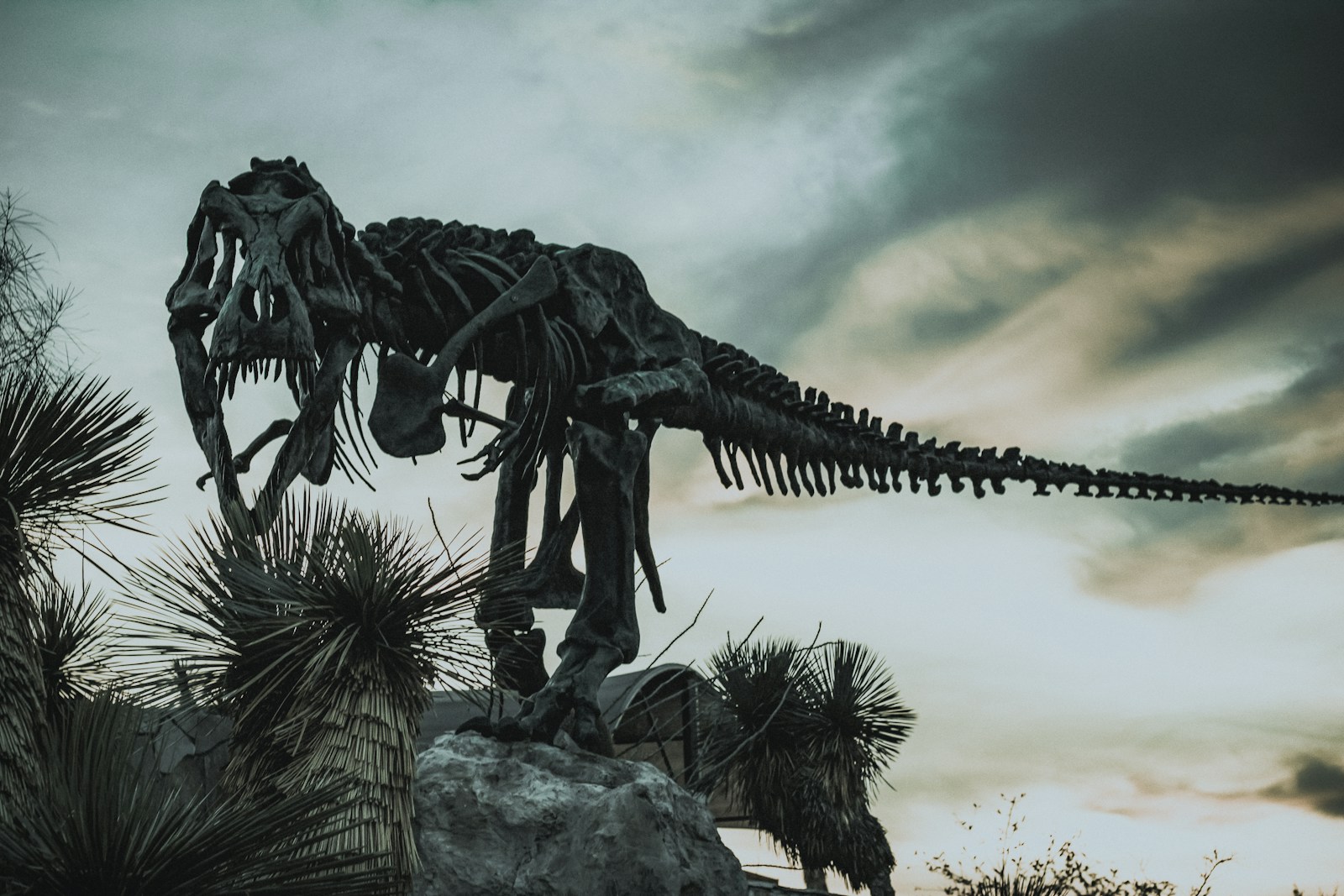 The Dinosaur Timeline: 10 Key Species That Ruled in Each Prehistoric Era