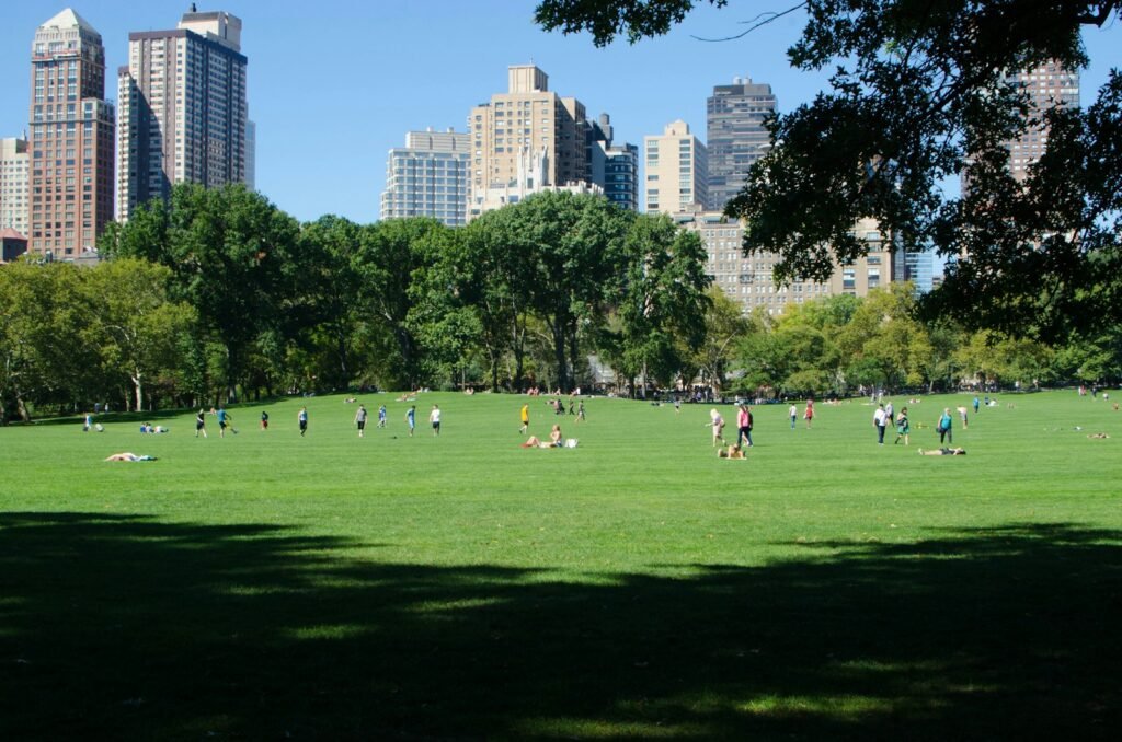 People playing soccer on green grass field during daytime.