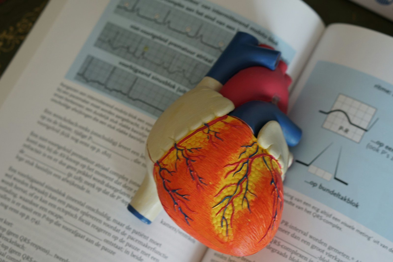 How Dr. Daniel Hale Williams Performed the First Successful Open-Heart Surgery