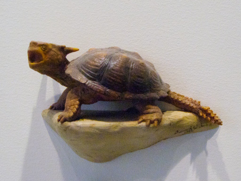 Cladistics Turtle figure from one of the cladograms at the AMNH.