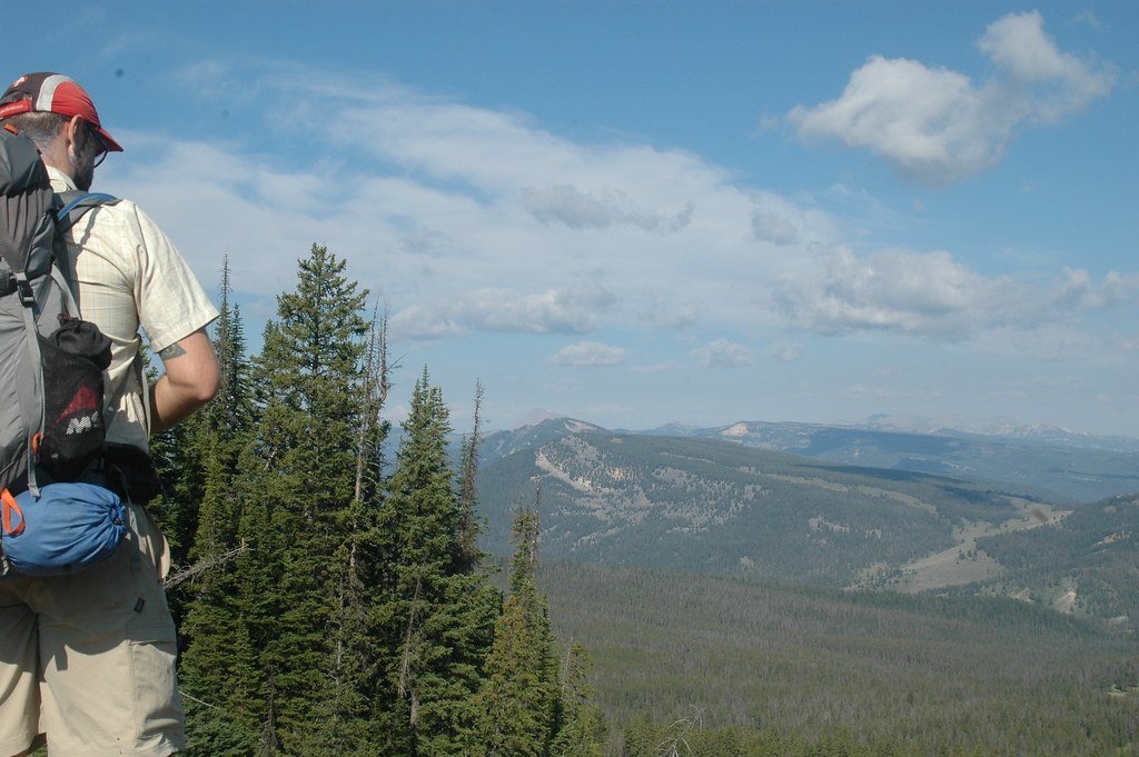 Montana wilderness