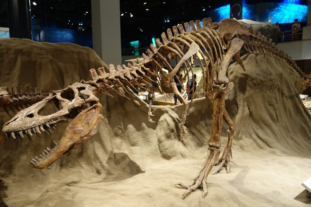 Albertosaurus Dinosaur in Canada